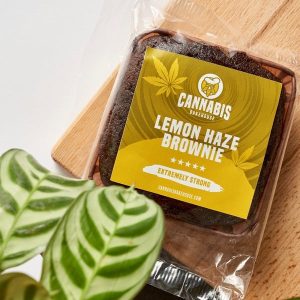 Lemon haze brownie in packaging with plant