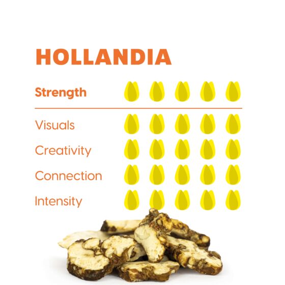 Hollandia - Maka | Truffel 15g