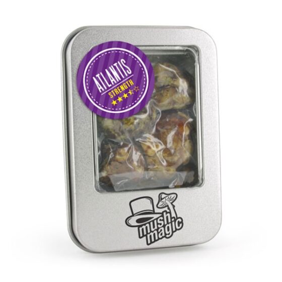 Atlantis - Mush Magic | Truffel