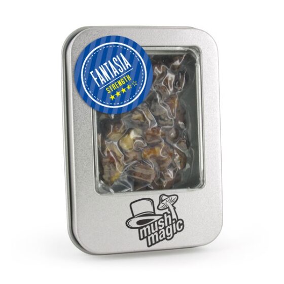 Fantasia - Mush Magic | Truffel