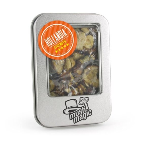 Hollandia - Mush Magic | Truffel