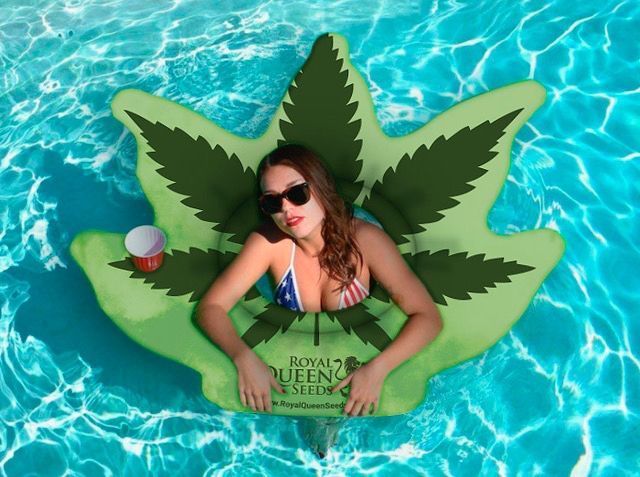 0f453b25-9c14-487e-80b3-f0b13c742bc8