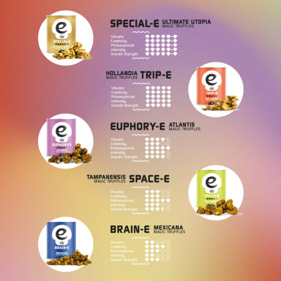 Brain-e | Happy Tuber - Truffel (1+1 free)