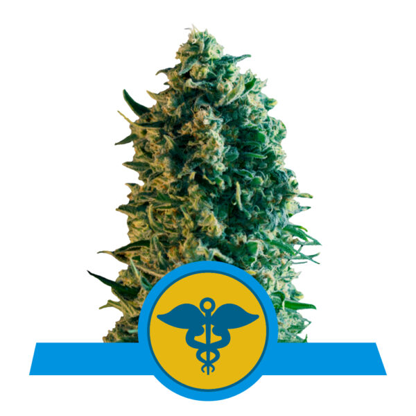 CBD_Royal_Medic