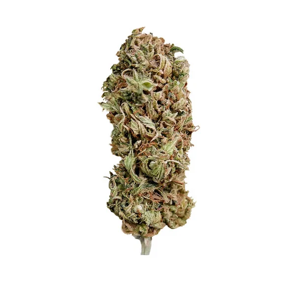amg-amnesia-mac-ganja