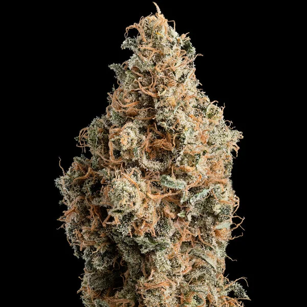 fürcolate-haze (1