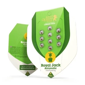 Royal Jack Automatic | Autoflower - RQS