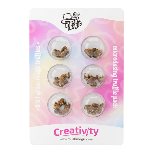 Microdosing Mush Magic Creativity