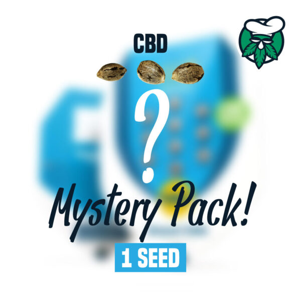 Mystery Seeds CBD 1