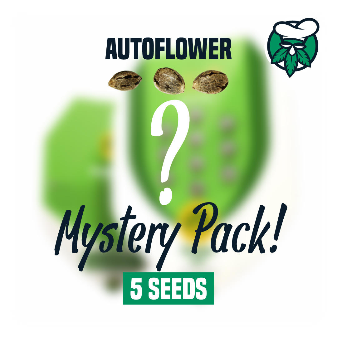 Mystery Seeds autoflouwer 5