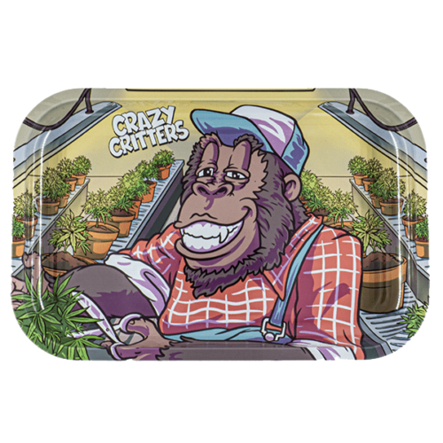 Plateau à roulettes moyen Gorilla - (Créatures folles)