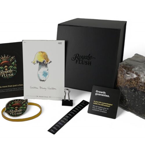 Golden Bluey Vuitton 1200cc - Royale Flush Growkit