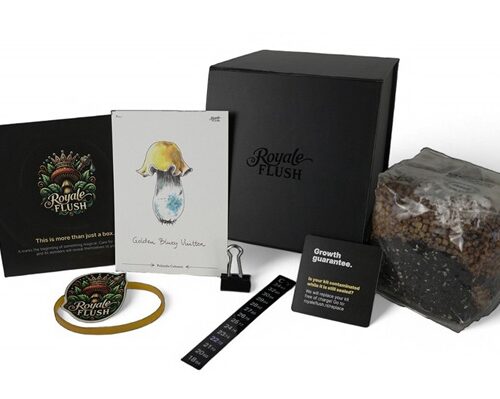 Royale Flush Golden Bluey Vuitton Growkit – 1200cc