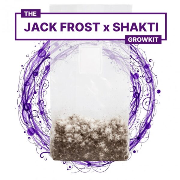 PHOTO-2025-07-31-11-31-49 kit per la coltivazione di funghi