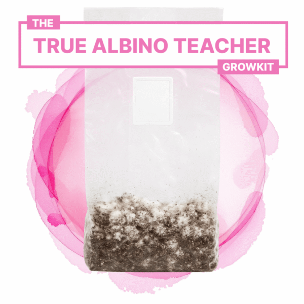 true-albino-teacher-growkit-full-auto