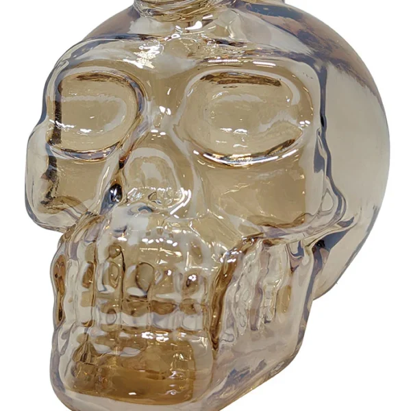 death row records metallic skull waterpijp close up goud
