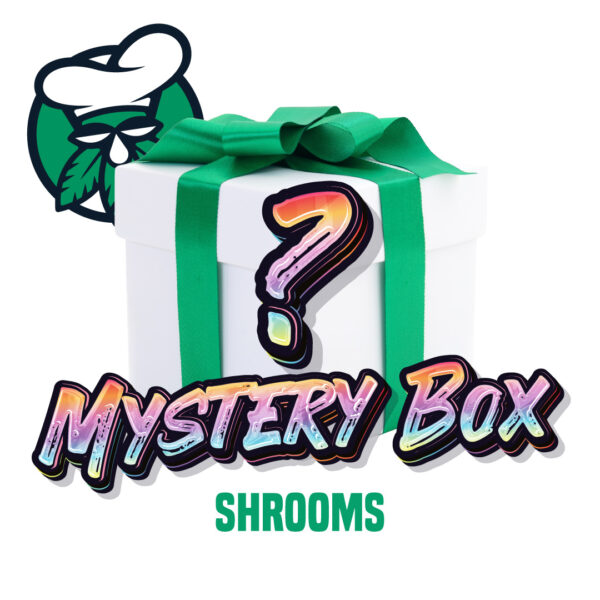 Zauberpilze aus der Mystery Box