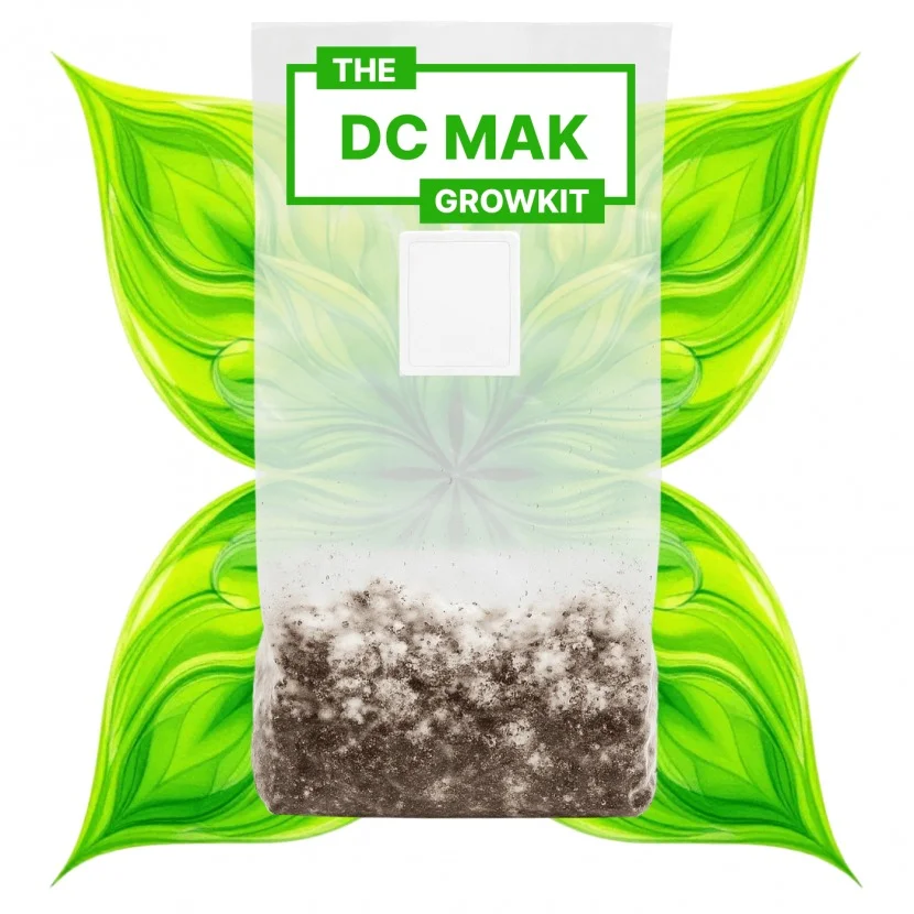 dc-mak-growkit. magic mushroom grow bag -3300cc-1700cc
