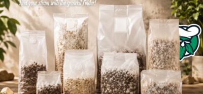 Which psilocybin grow kit to buy?