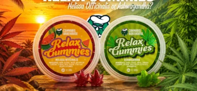 Cannabis Bakehouse Relax Gummies with Melissa Officinalis and Ashwagandha in a relaxing tropical landscape
