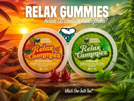 Cannabis Bakehouse Relax Gummies with Melissa Officinalis and Ashwagandha in a relaxing tropical landscape