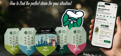 Cannabiszaad kiezen: verschillende cannabis strains voor beginners en gevorderden