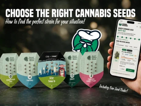 Cannabiszaad kiezen: verschillende cannabis strains voor beginners en gevorderden