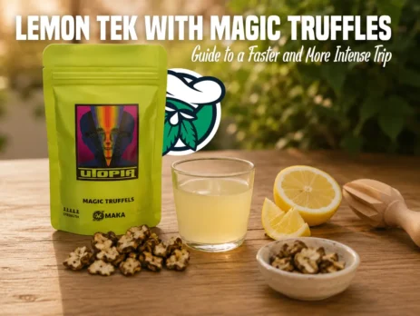 Lemon tek magic truffels in een glas met verse citroenen en truffels op een houten ondergrond