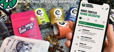 magic truffles dosage blog over hoe je de beste soort truffel en dosering bepaald bij cannabis bakehouse