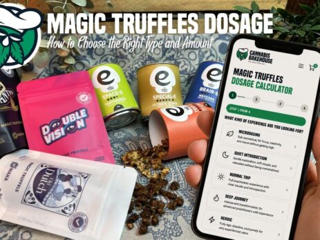 magic truffles dosage blog over hoe je de beste soort truffel en dosering bepaald bij cannabis bakehouse