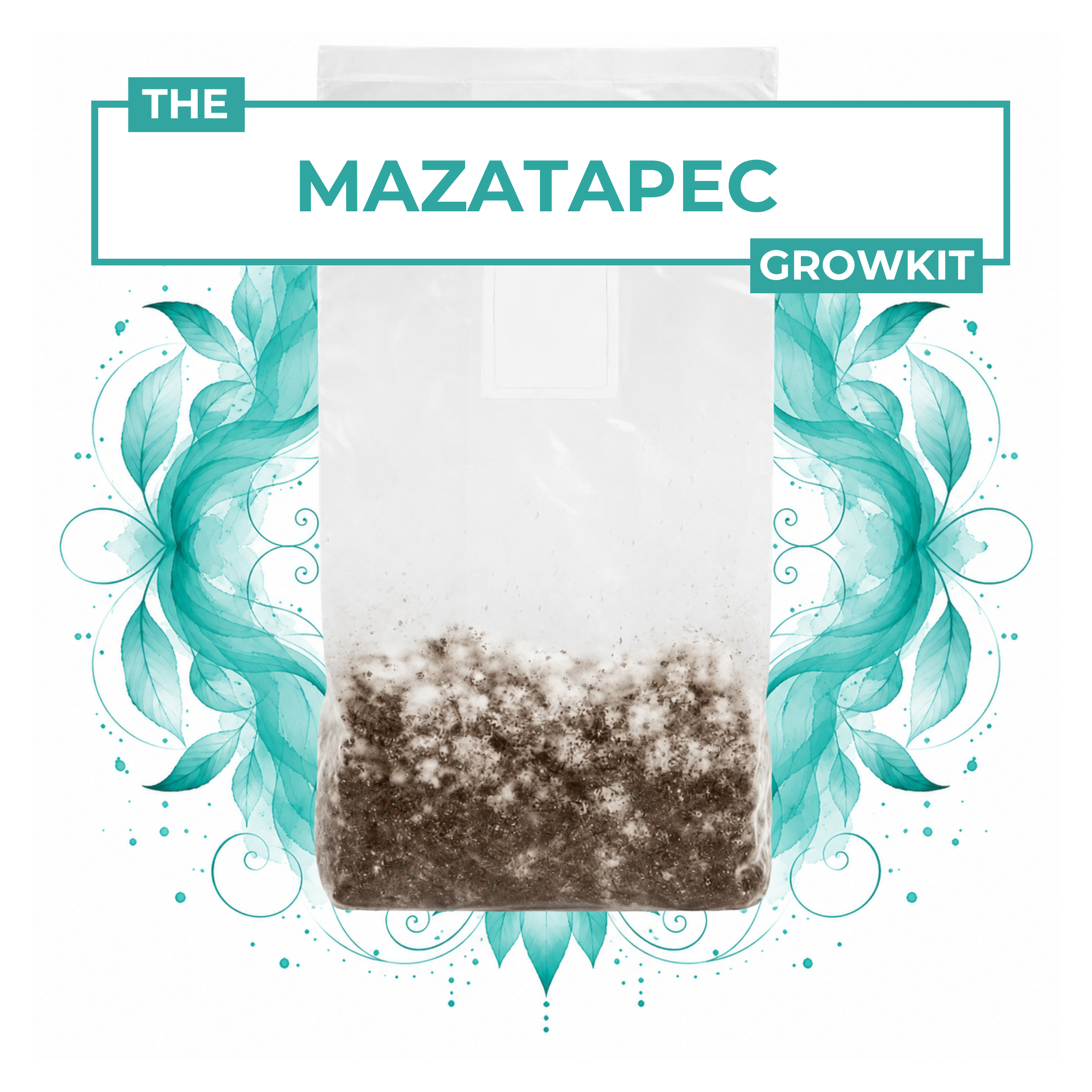Mazatapec growkit