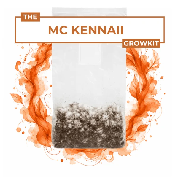 McKennaii Psilocybine Growkit