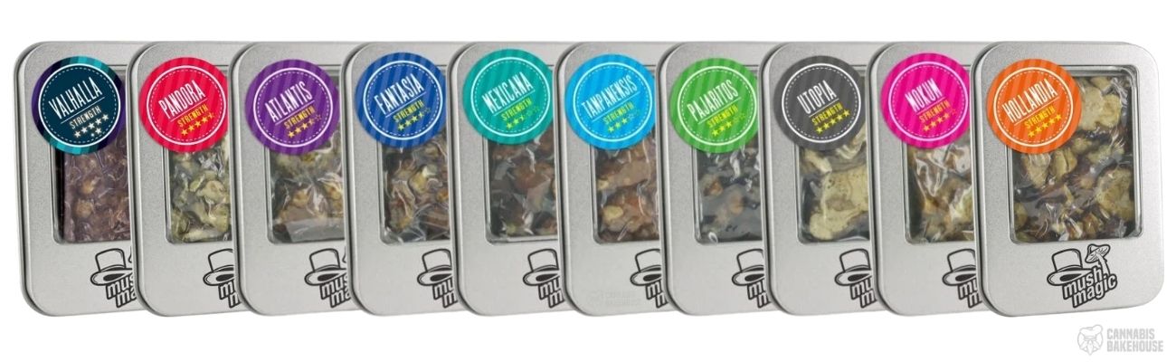 Mush Magic truffels alle varianten overzicht