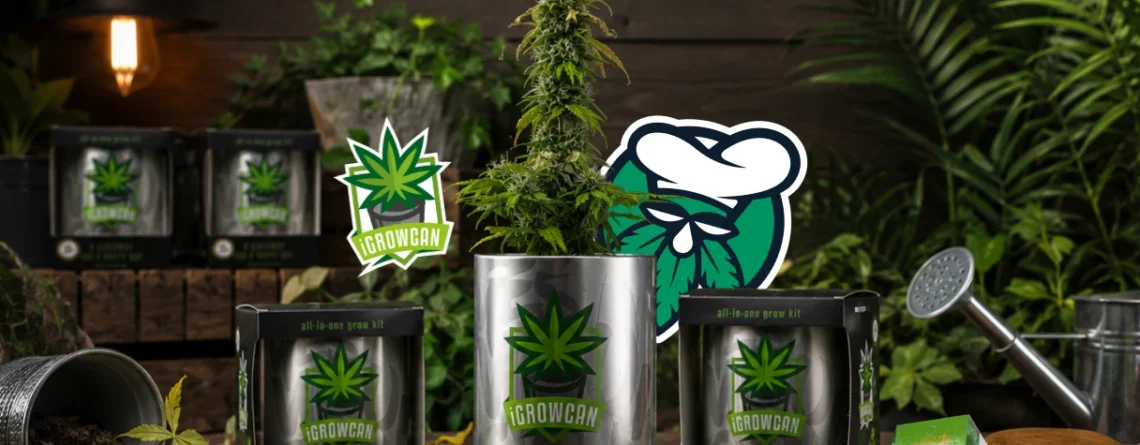 Mature cannabis plant growing in a Royal Queen Seeds iGrowCan alongside iGrowCan grow kits and cannabis seed packs.