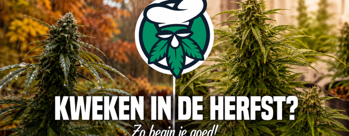 Wietplanten kweken in de herfst