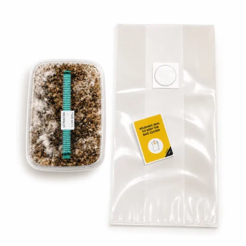Mondo B+ Growkit 100% Mycelium 1200cc