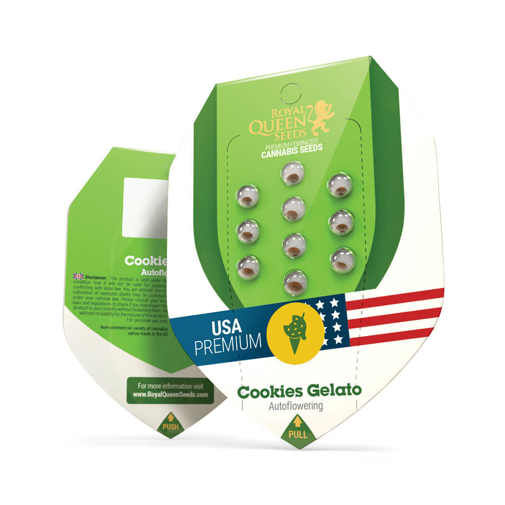 Cookies Gelato Automatic | Autoflower – RQS