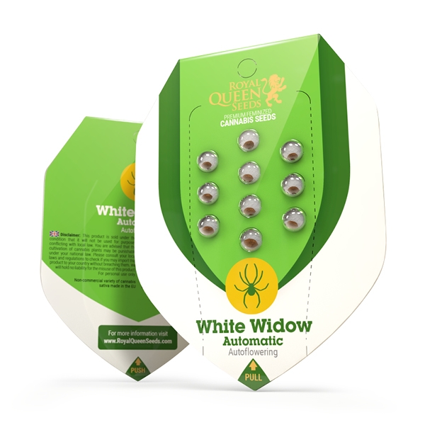 White Widow Automatic | Autoflower - RQS